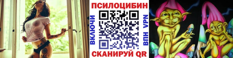 OMG рабочий сайт  что такое наркотик  Ленинградская  Галлюциногенные грибы мицелий 